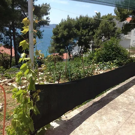 Donko Trogir